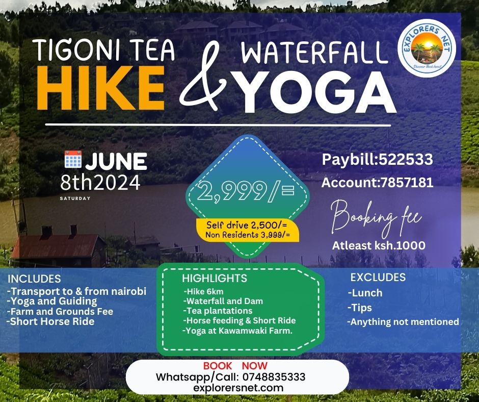 Tigoni Hike - 12th June 2024